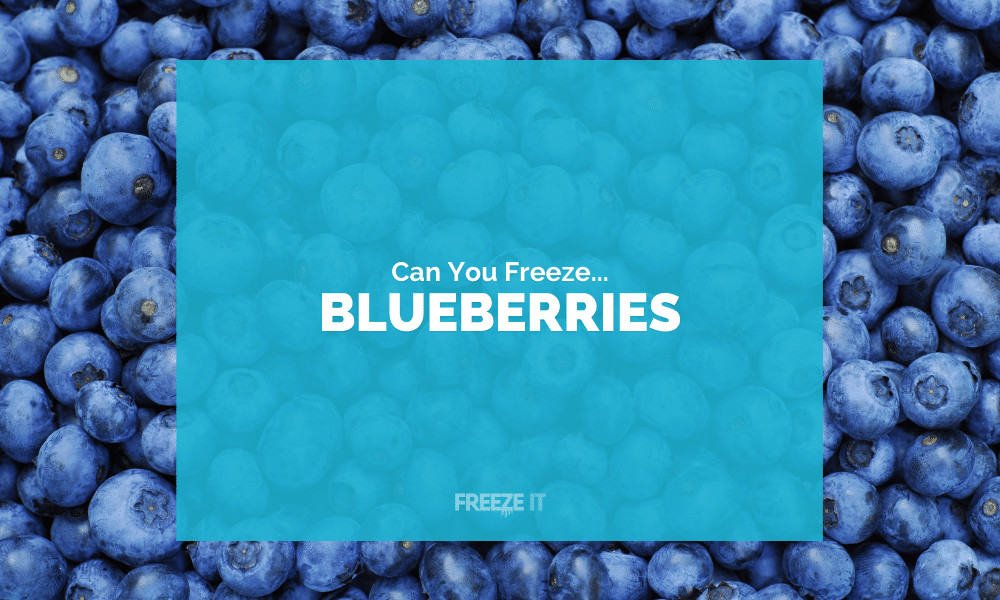 Can You Freeze Blueberries