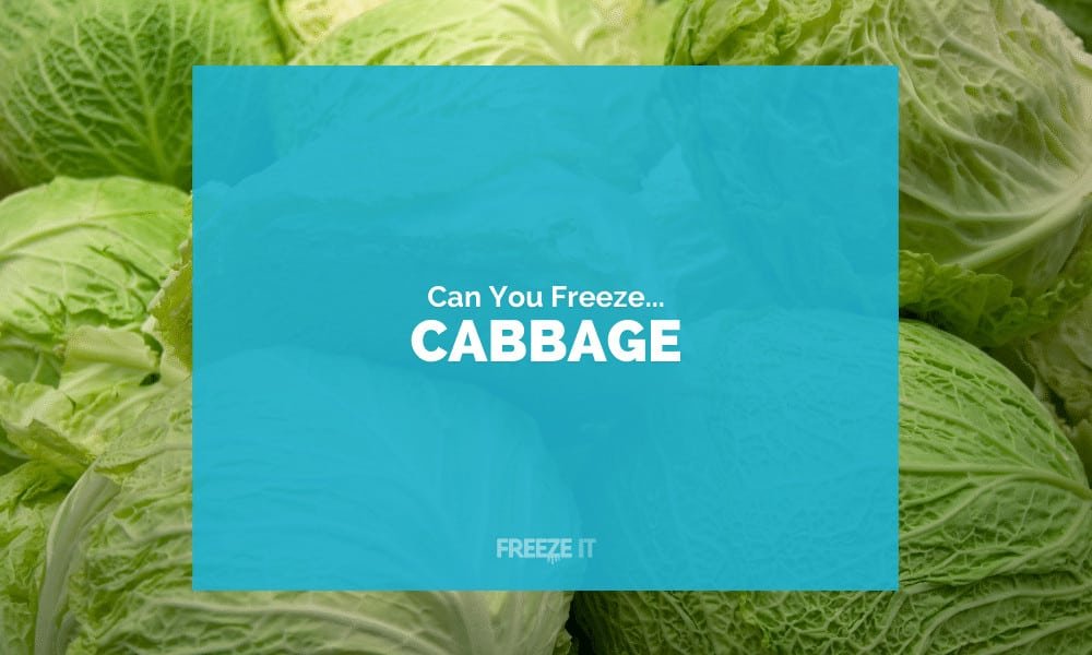 Can You Freeze Cabbage