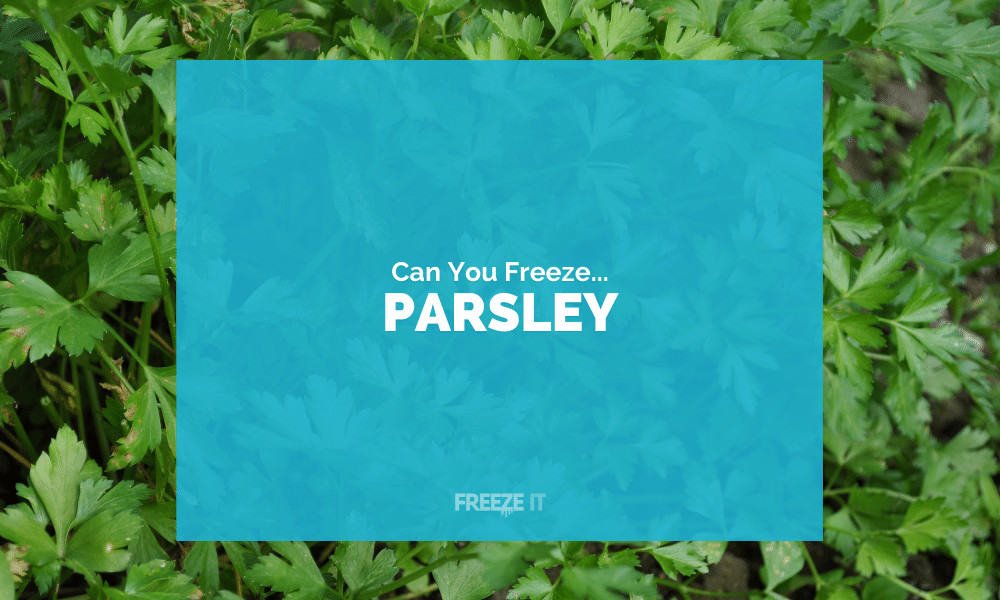 Can You Freeze Parsley