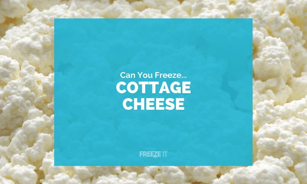 Can You Freeze Cottage Cheese