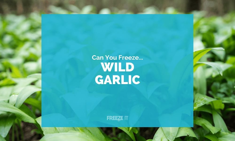 Can You Freeze Wild Garlic