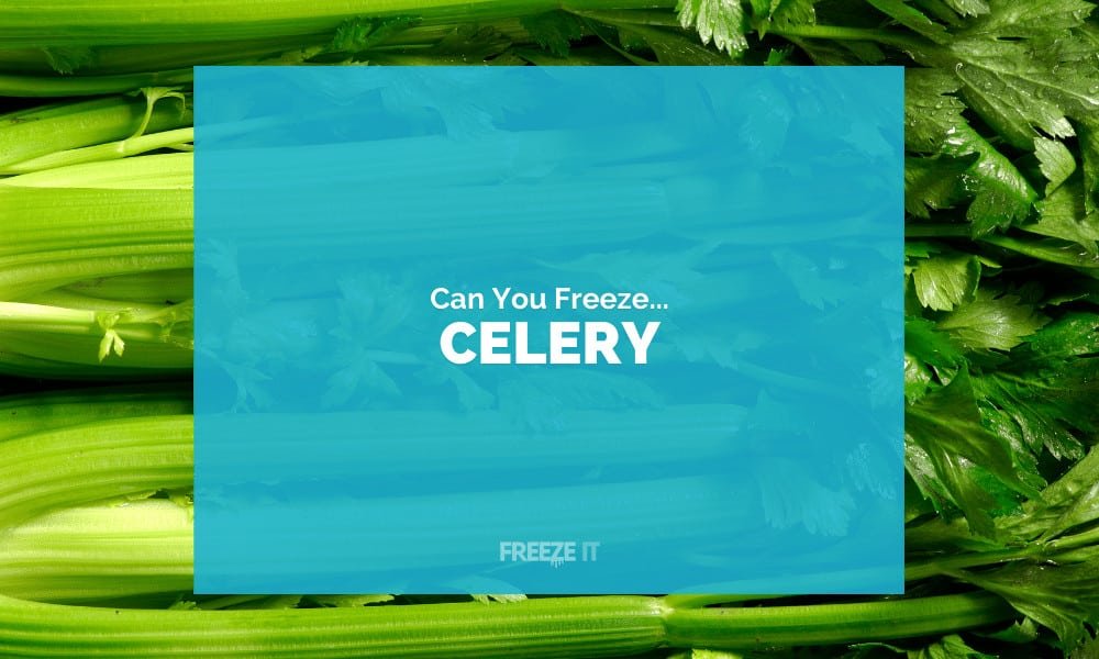 Can You Freeze Celery