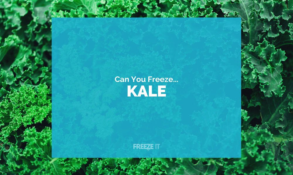 Can You Freeze Kale