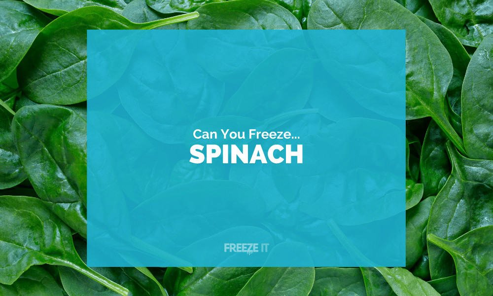 How to Freeze Spinach