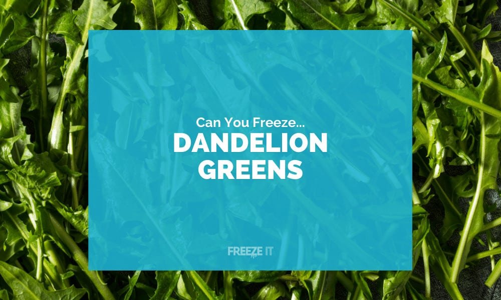 Can You Freeze Dandelion Greens