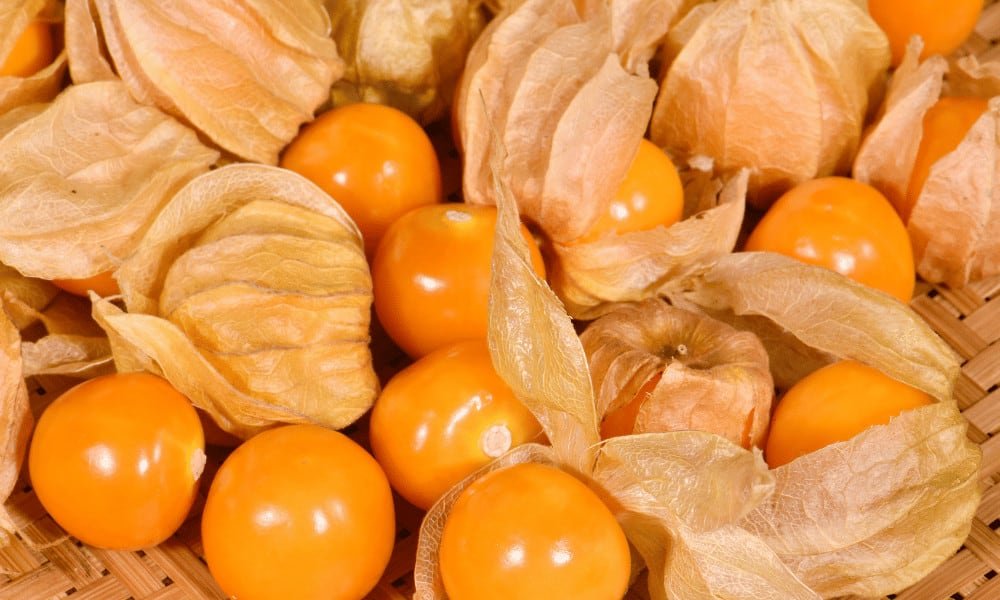 Freeze Cape Gooseberries