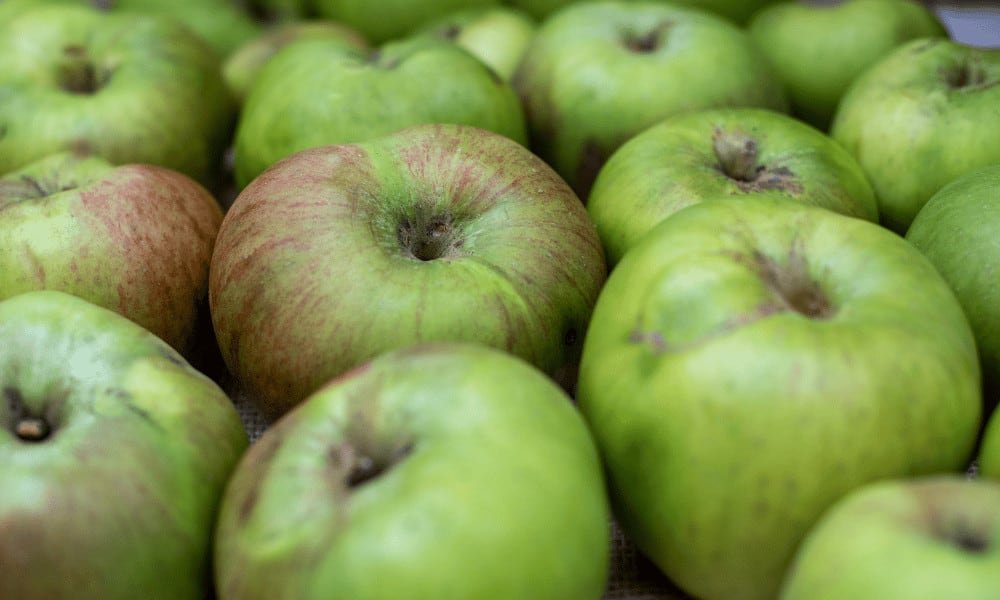 Green Bramley Cooking Apples