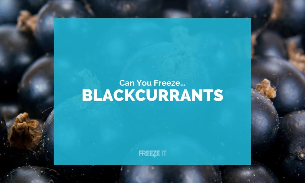 Can You Freeze Blackcurrants