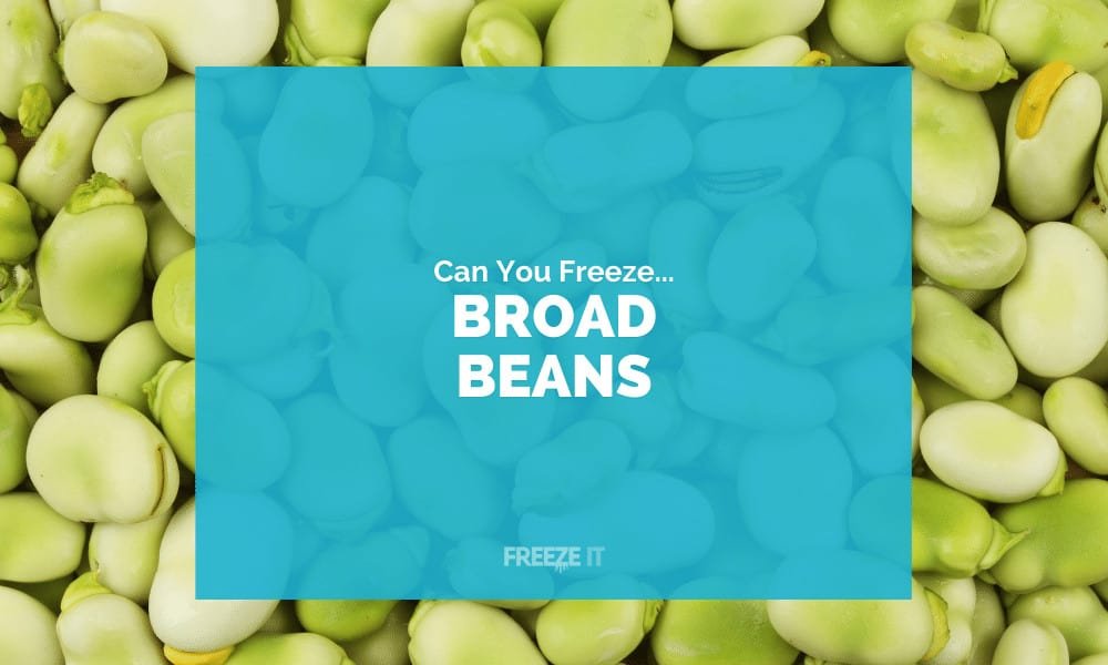 Can You Freeze Broad Beans