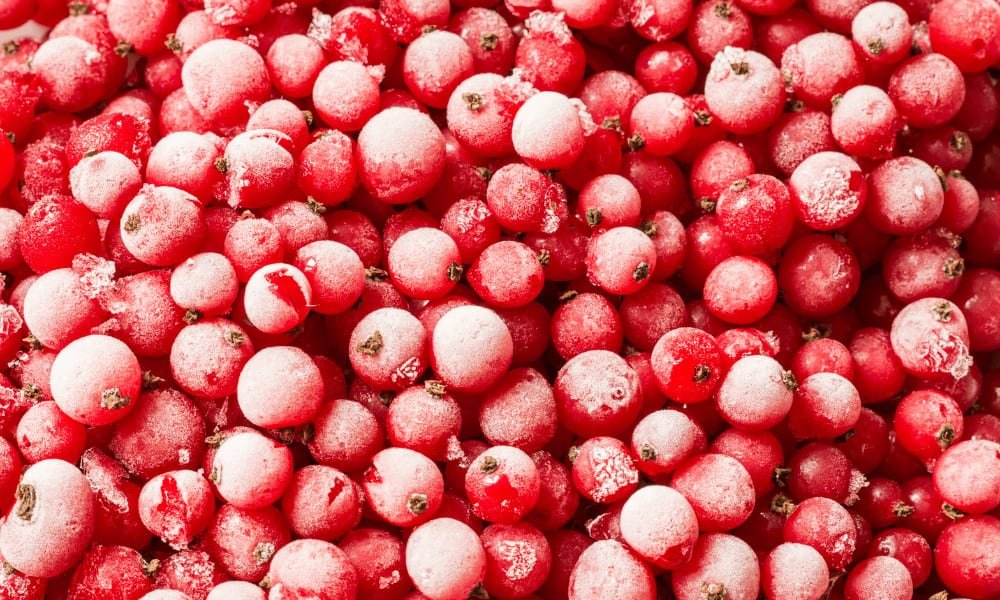 Frozen Redcurrants