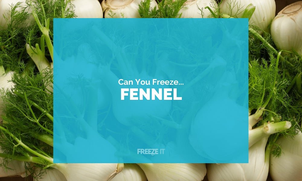 Can You Freeze Fennel