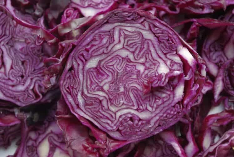 freeze red cabbage