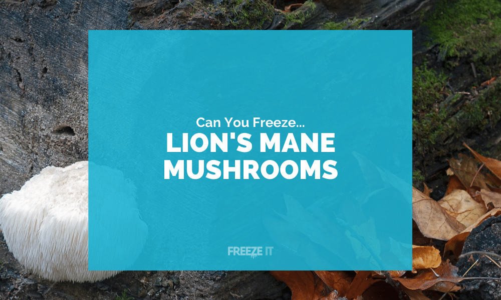 Can You Freeze Lions Mane Mushrooms