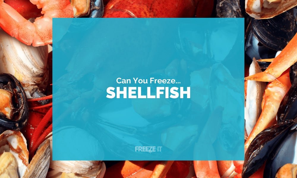 Can You Freeze Shellfish