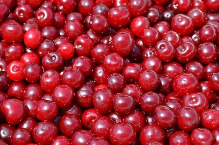 Freeze Cherry Pie Filling