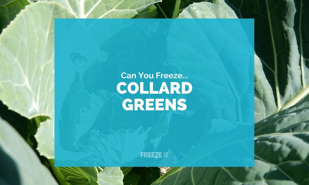 Can You Freeze Collard Greens