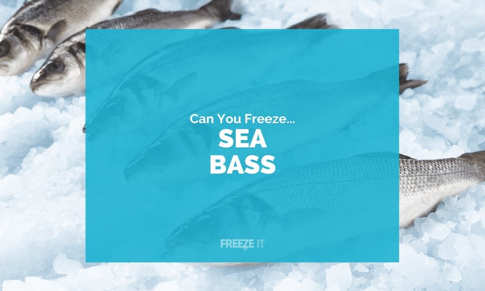 Can You Freeze Sea Bass