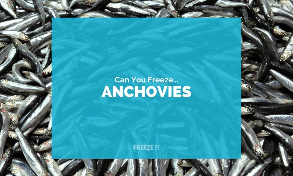 Can You Freeze Anchovies