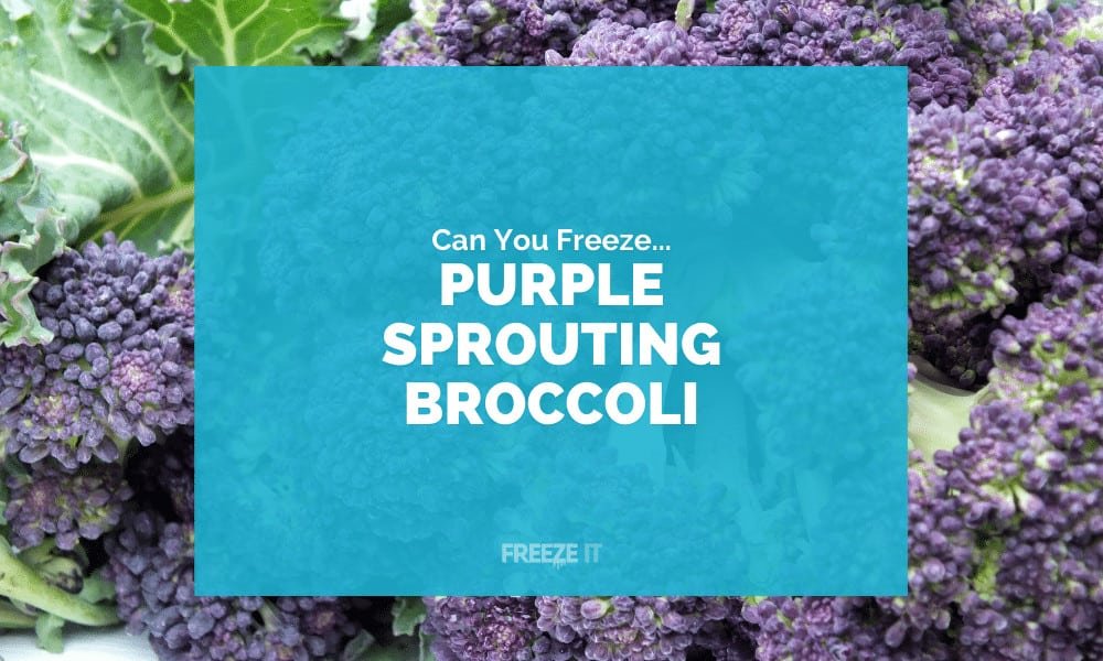 Can You Freeze Purple Sprouting Broccoli 1