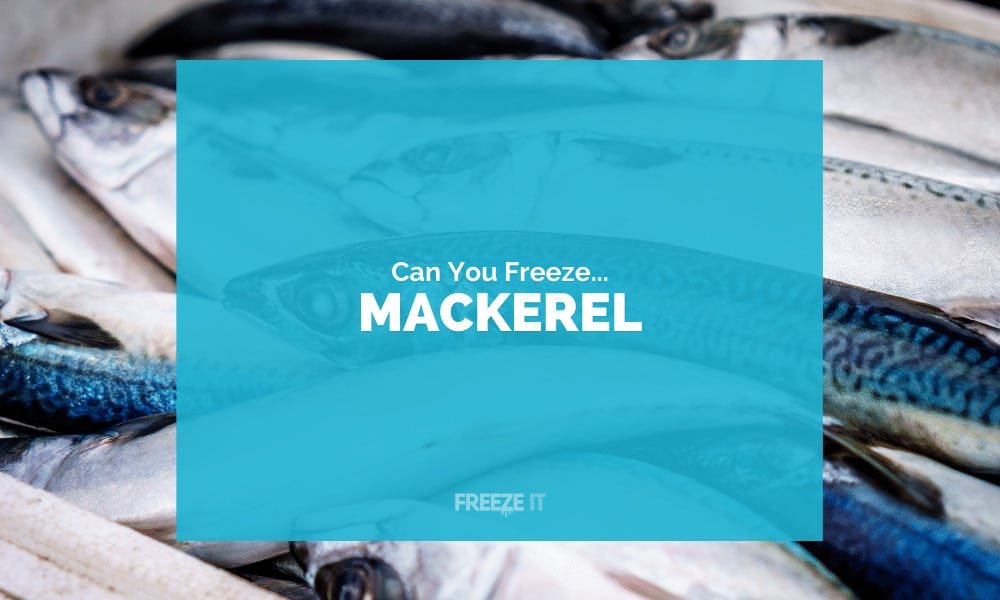 Can You Freeze Mackerel