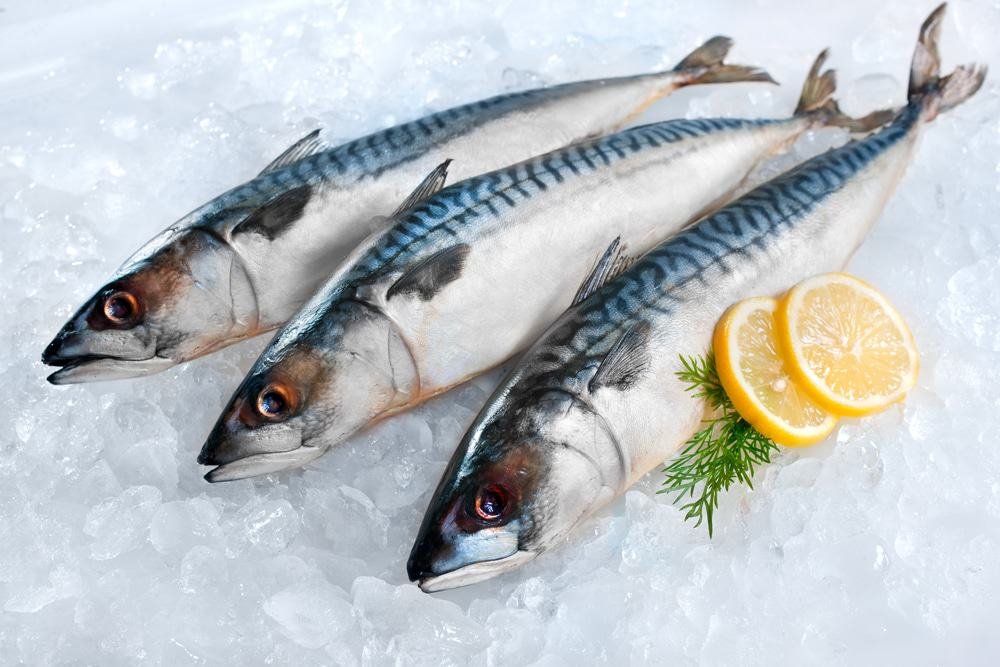 Frozen Mackerel