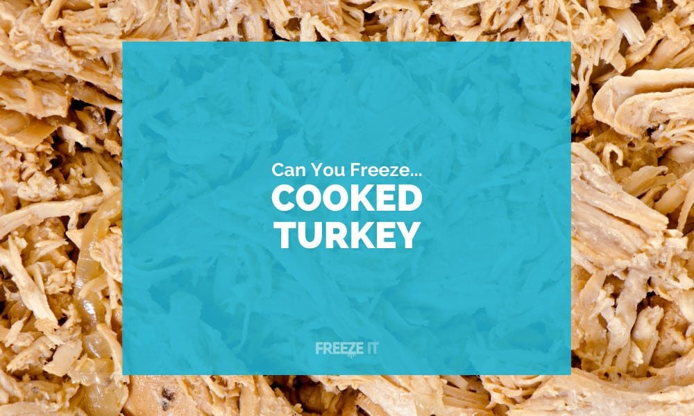 Can You Freeze Cooked Turkey