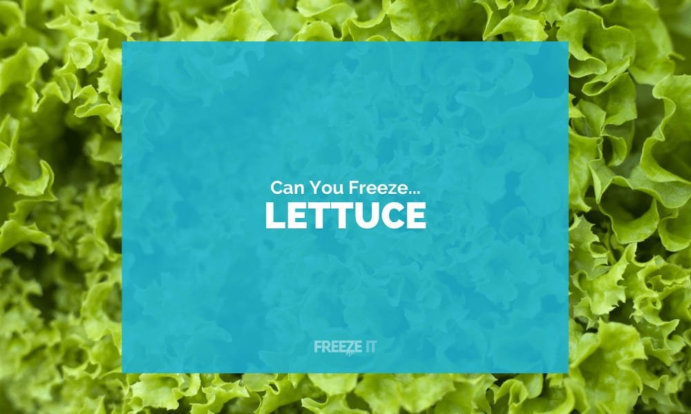 Can You Freeze Lettuce