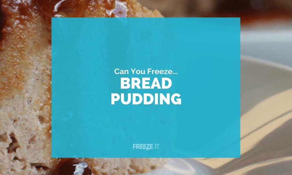 Can You Freeze Bread Pudding