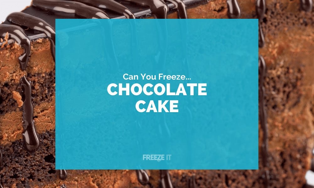 Can You Freeze Chocolate Cake