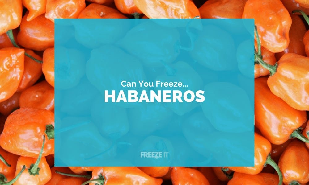 Can You Freeze Habaneros