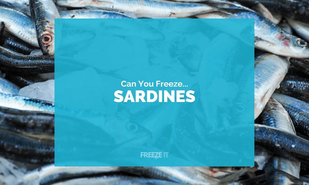 Can You Freeze Sardines