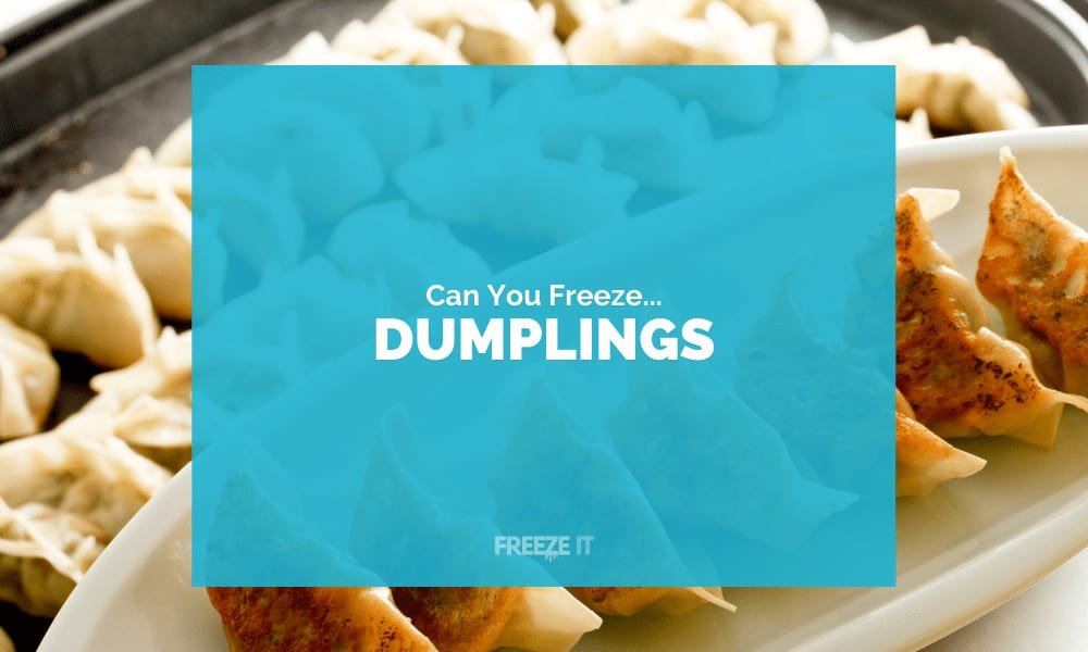 Can You Freeze Dumplings