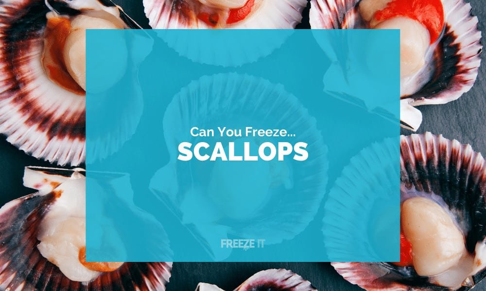 Can You Freeze Scallops