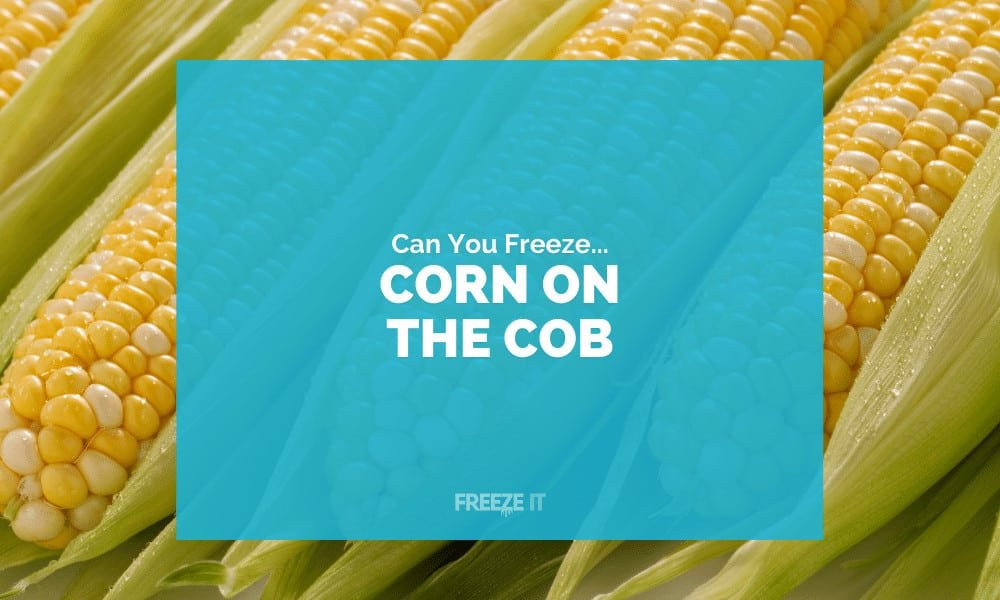 Can You Freeze Corn on the Cob