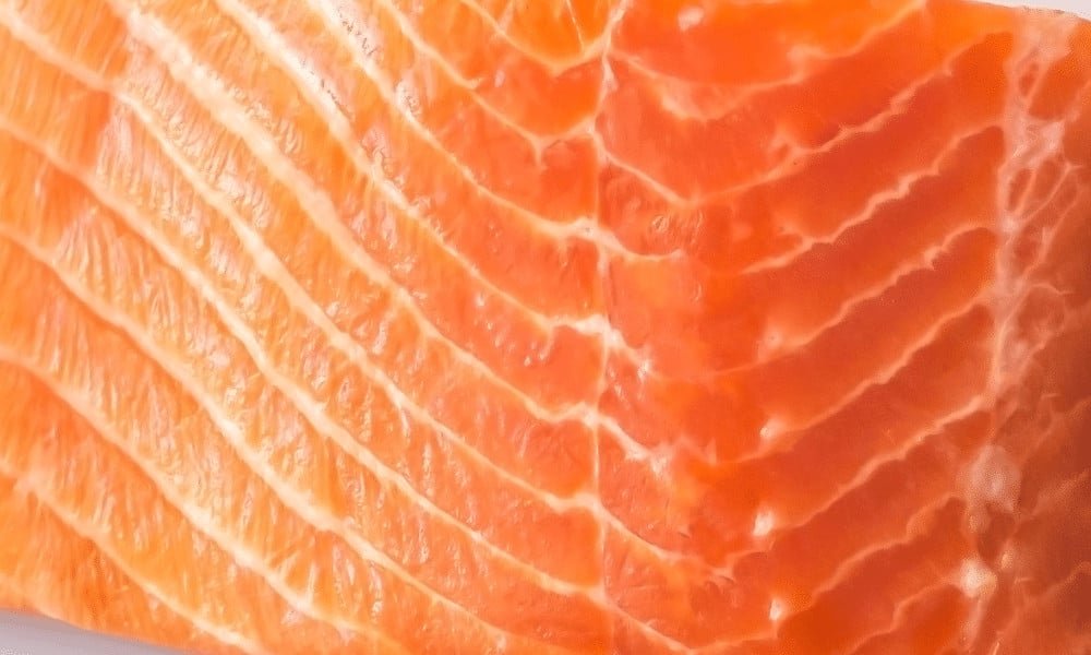 Salmon