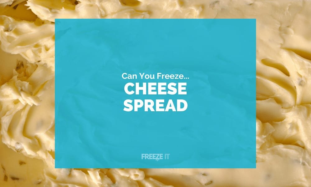 Can You Freeze Cheese Spread