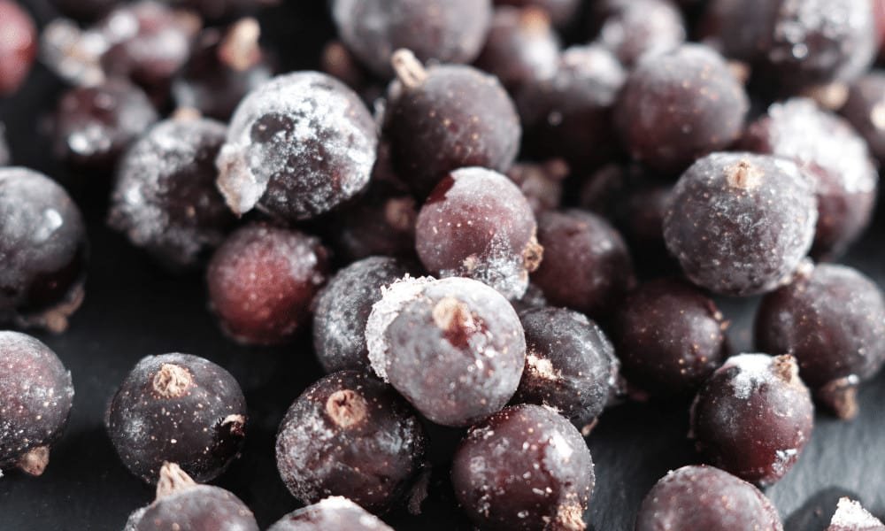 Frozen Blackcurrants