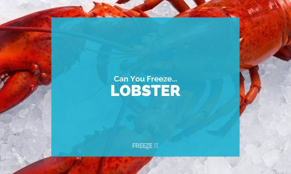 Can You Freeze Lobster