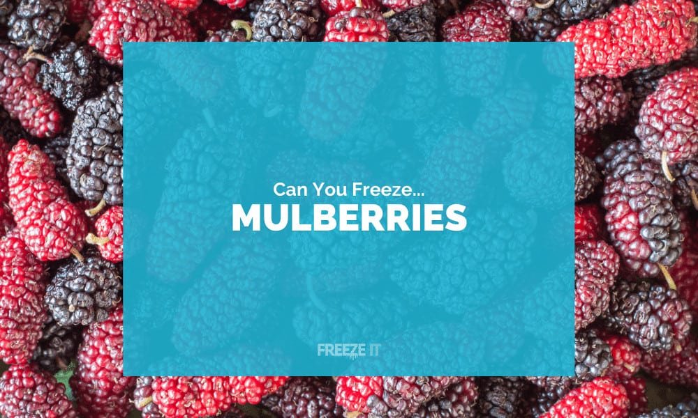 Can You Freeze Mulberries