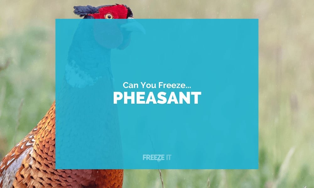 Can You Freeze Pheasant