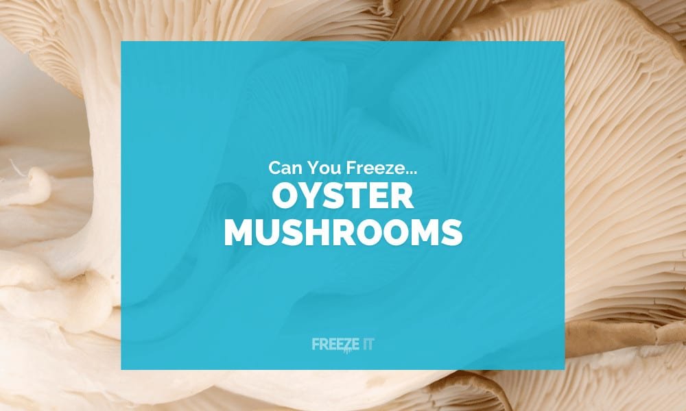 Can You Freeze Oyster Mushrooms