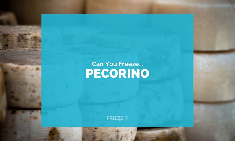 Can You Freeze Pecorino Cheese