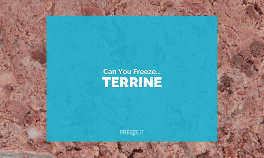 Can You Freeze Terrine