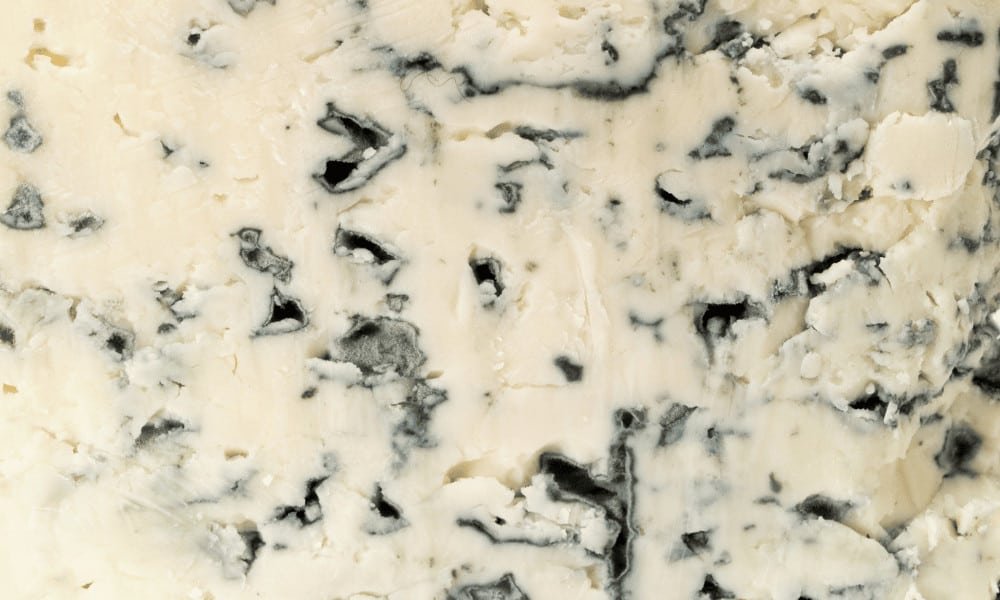 Close Up of Blue Cheese Veins