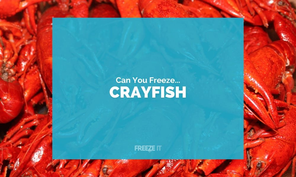 Can You Freeze Crayfish