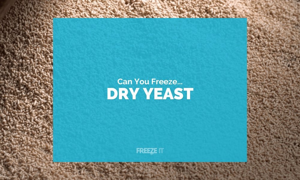 Can You Freeze Dry Yeast