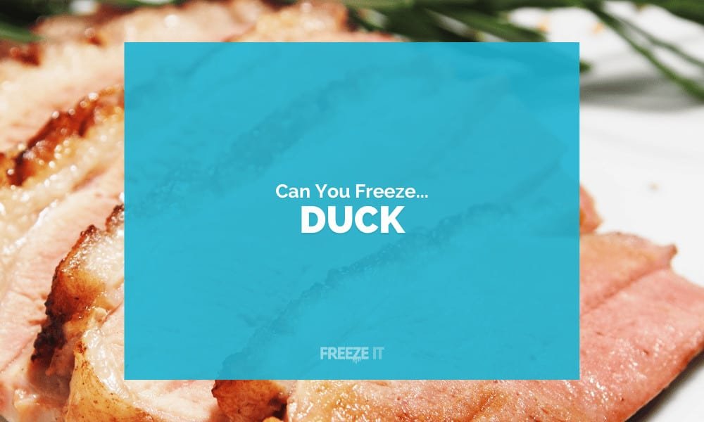 Can You Freeze Duck