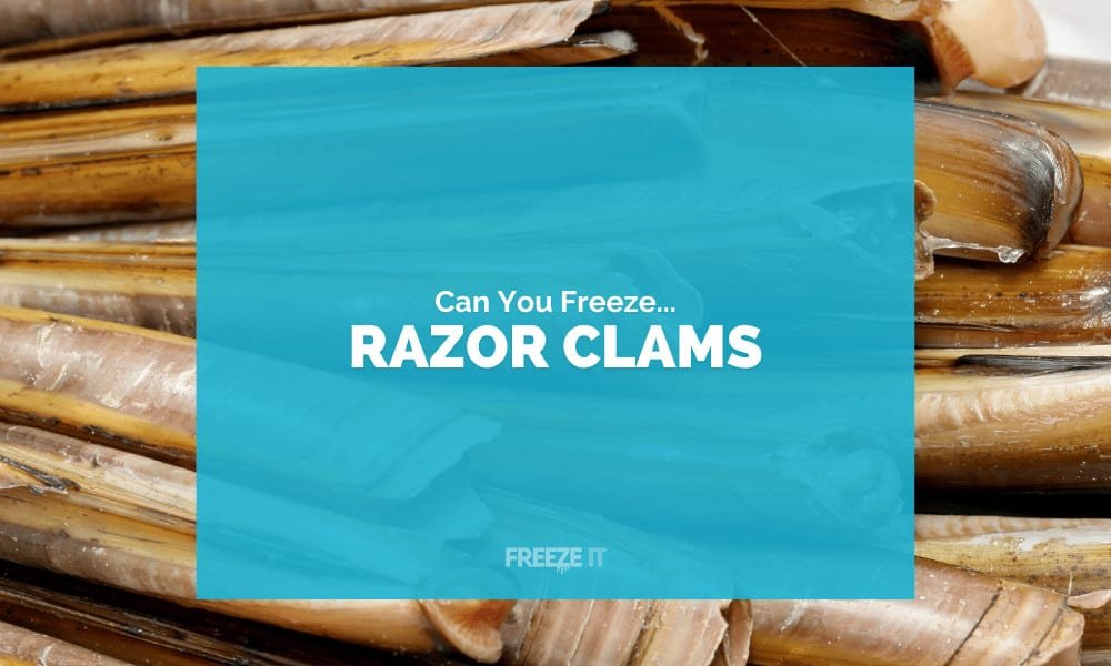 Can You Freeze Razor Clams