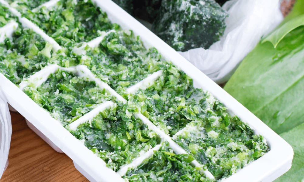 Frozen Thai Basil Cubes