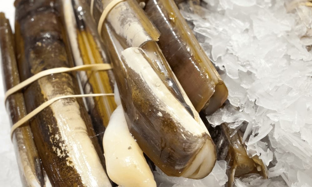 Broken Razor Clams